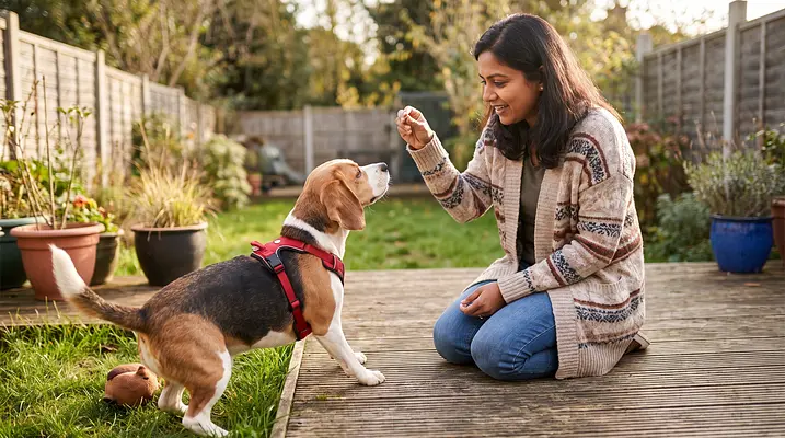 Why Dogs Eat Poop and How to Stop It