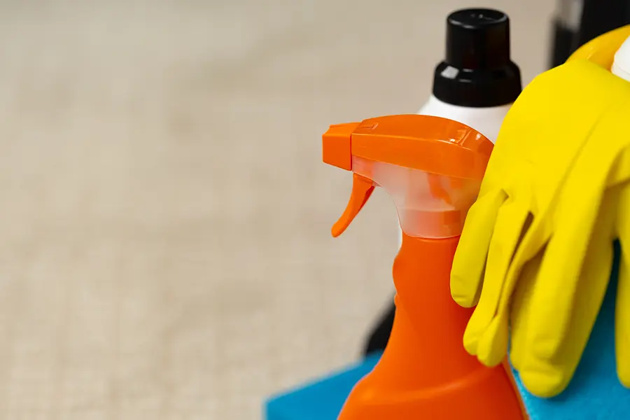 Cleaning Up Accidents: Tips for Removing Pet Stains and Odors