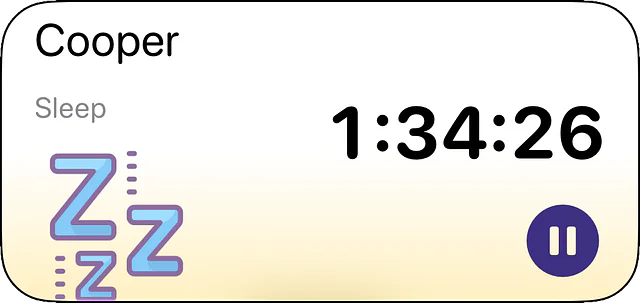 Timers widget